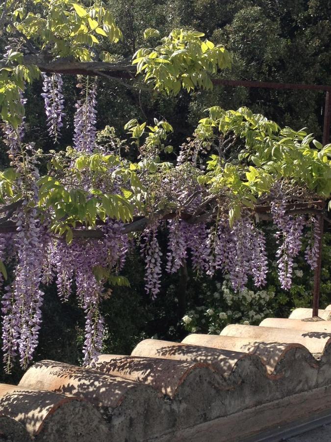 Bastide La Combe Otel Vaison-la-Romaine Dış mekan fotoğraf